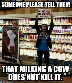 2966C9E1-25C3-4B87-A4F8-C5FE01230B10.jpeg