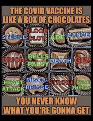 B3E86BB1-D9CA-4F44-A98E-9CC07CD7F0E7.jpeg
