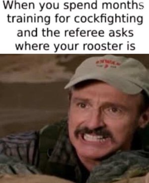 322716871_848045162921671_4490233757315365469_n.jpg