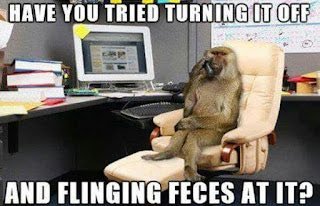 C8A8A758-BE6E-4C1E-BEE2-DFC01D0AF5D4.jpeg