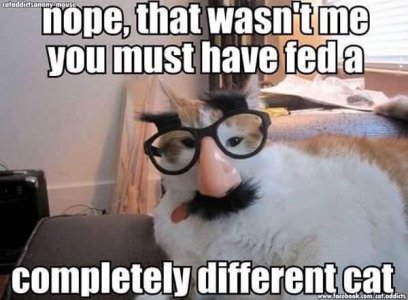 A3BAD953-0051-4649-81B3-9791F8A028DD.jpeg