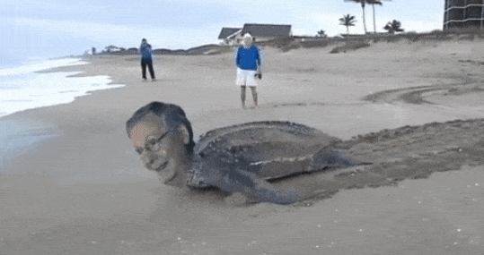 67E2DE5A-AD3B-4152-93F2-833E091017A9.gif