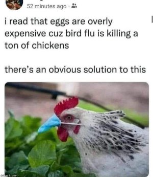 D5C23C90-E256-4C8C-98E5-52E9809E50FF.jpeg
