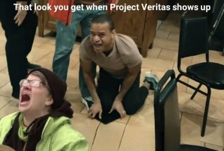 6C682479-E0BA-4E49-8E30-BE61D68E1F4B.jpeg