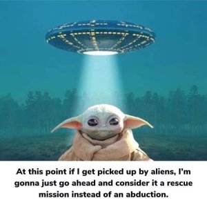06D8E21C-A79C-4B1C-8D6B-4F3225E4AA46.jpeg