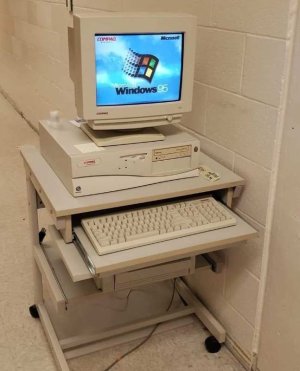 83053baccf1ec265.jpeg