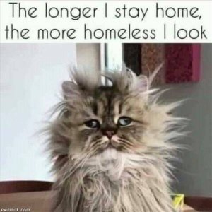 903A3860-E6CA-430E-B50A-666948AD3F29.jpeg