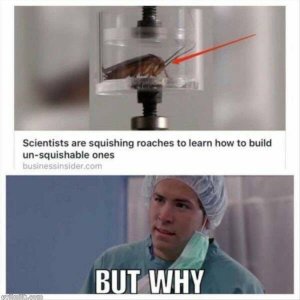 D6699F04-E373-41E6-A3E1-DF872F22B112.jpeg