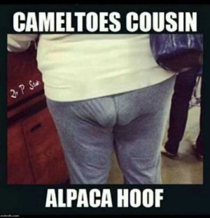 Cameltoes_Cousin.jpg