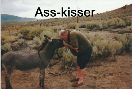 CerderQ-Ass-Kisser.png