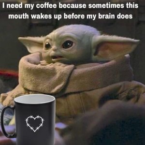 8C379267-EEAD-4644-8F90-2BB32E9C25BE.jpeg