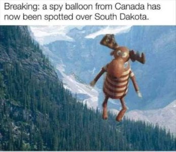 vcx.jpg