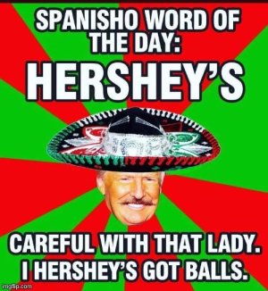 82D70B14-6F75-4228-9005-3D8A1388404E.jpeg