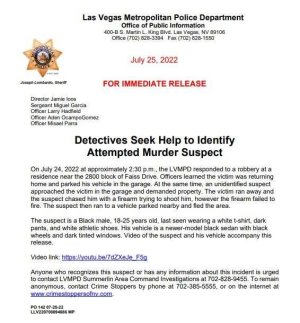 LVCrime.jpg