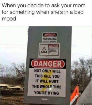 F1D68433-992D-48DA-96A4-7A571CDB4F01.jpeg