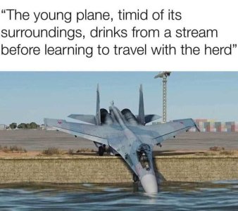 young russian plane.jpg