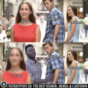 4E98AC1B-A941-4848-89C6-82B0BF74BF42.jpeg