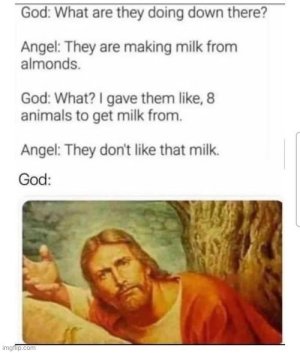 968E3910-7F2E-4E82-87D6-C7F9A6A1CD87.jpeg