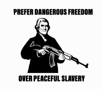 dangerous freedom.jpg