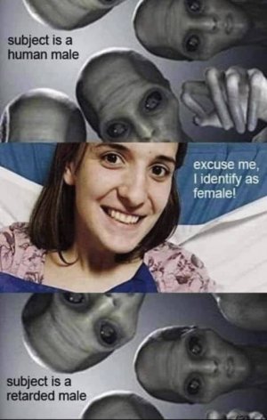 IMG_1176.jpeg