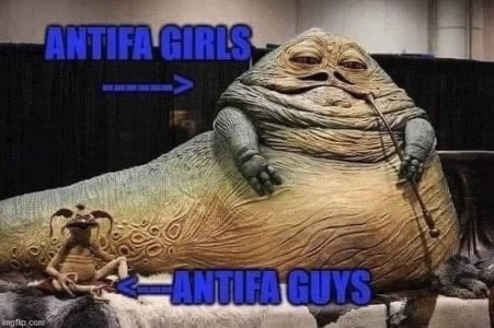 IMG_1201.jpeg
