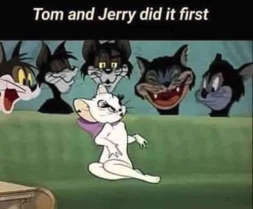 IMG_1207.jpeg