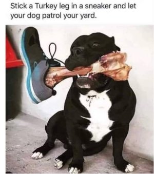 IMG_1337.jpeg