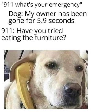 75B19C2E-7D84-4A64-B4DC-A832011A5AF0.jpeg