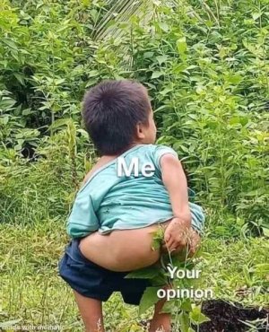 27971.jpeg