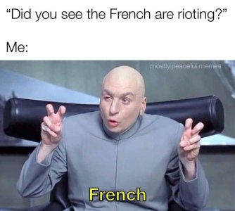 IMG_1387.jpeg