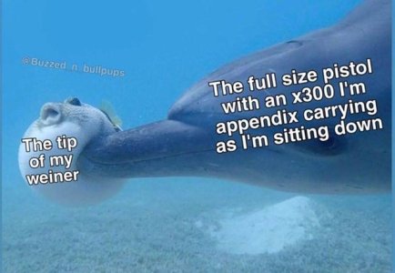 CC73AF94-93D0-4718-B4A8-CE2E83F1D80F.jpeg