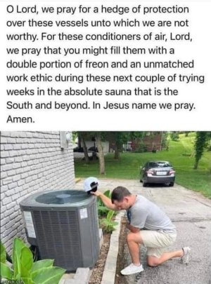 1403E01C-7DEF-4C7F-912F-93AA6B78BC69.jpeg