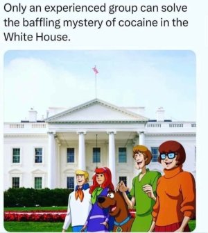 7763D9D0-BE9B-4E97-95AF-D1D21BFB2BC3.jpeg