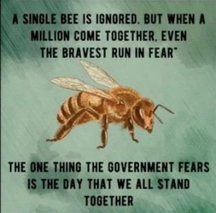 E66503C1-1A95-4DF2-90AF-584D5DBCEADC.jpeg