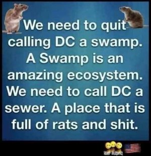 Sewer.jpg