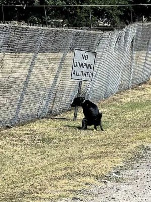 be an outlaw.jpg