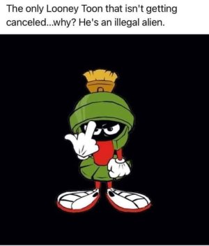 IMG_1622.jpeg