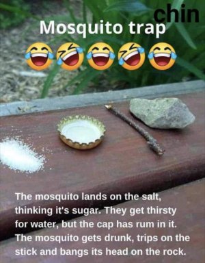 70576800-9D55-4C5F-9DF0-A6106A9DA84D.jpeg