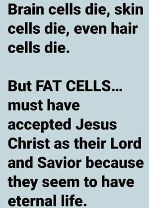 fat-cells.jpg