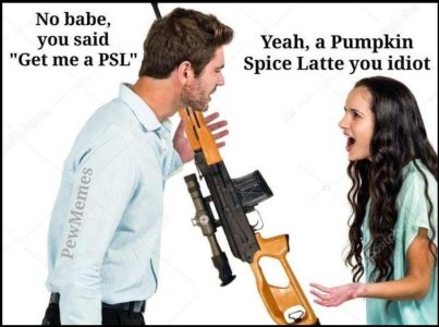 psl you idiot.jpg
