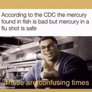 IMG_1786.jpeg