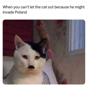 Screenshot 2023-10-29 at 17-36-37 FUNNY ANIMALS on Instagram This cat has Nein lives.png