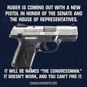 Ruger Congressman.jpeg