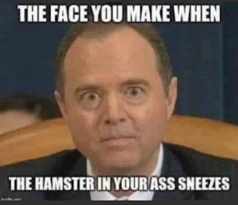 267751568_10221922166463418_5063752841853844196_n.png