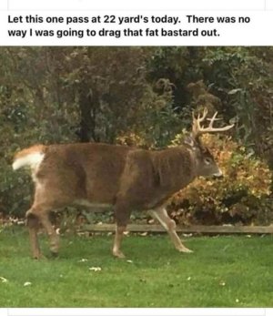 F_K02SCWoAA1F13.jpg