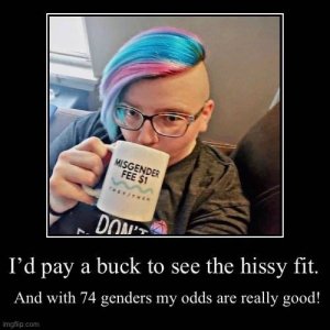 IMG_2037.jpeg