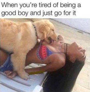 tired of being a good boy.jpg