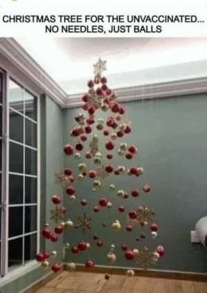 IMG_2086.jpeg