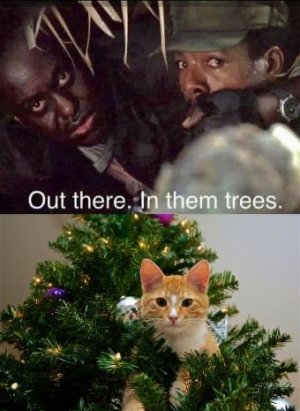 IMG_9823.jpeg