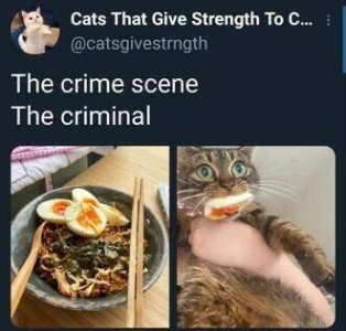 IMG_9843.jpeg